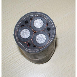 固原超高压电缆、河北新宝丰电缆与特种电缆市场探析